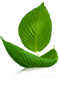 Konca Solar Cell Co., Ltd.